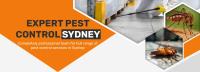 Termite Inspection Sydney image 10